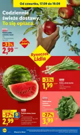 Lidl gazetka Strona 42: Polska cebula dymka €1,99, Polska sałata masłowa z korzeniem €3,99