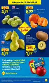Lidl gazetka Strona 46