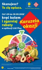 Lidl gazetka Strona 47