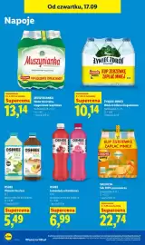 Lidl gazetka Strona 69: Piwo Spaten Oktoberfest €6,99, Piwo Desperados Original €5,99