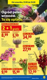 Lidl gazetka Strona 91: Proszek do prania kolorów XXXL Vizir €54,99, Żel do prania kolorów Persil €69,99