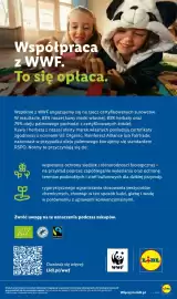 Lidl gazetka Strona 99
