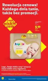 Lidl gazetka tydzień 38 Strona 32