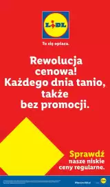 Lidl gazetka tydzień 38 Strona 7