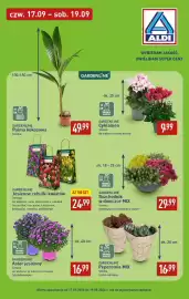 ALDI gazetka Strona 9: GARDENLINE Rozchodnik w doniczce MIX €29,99, GARDENLINE Jesienne cebulki kwiatów €24,99