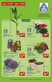 ALDI gazetka Strona 2: Aster jesienny różowy Gardenline €16,99