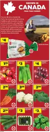 Atlantic Superstore flyer week 38 Page 10: GROWN IN CANADA FROM YOUR FARMERS For over 60 years, Garden Isle Farms has