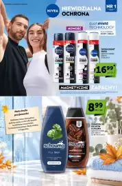 Groszek gazetka | Sprawdz co wiecej Strona 2
