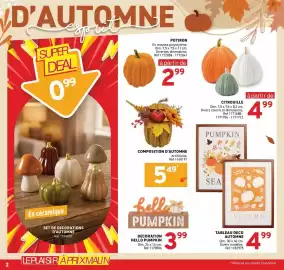 Catalogue Trafic page 2: TABLEAU DECO AUTOMNE €4,99, POTIRON €2,99