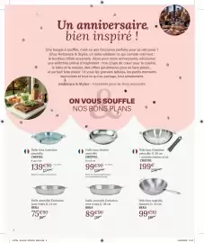 Catalogue Ambiances & Styles page 2: BEKA Poêle amovible Evolution inox triply €89,00