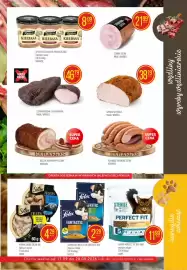 Pokusa gazetka Strona 11