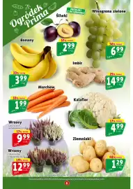 Prim Market gazetka tydzień 38 Strona 6: Kalafior €4,99, Winogrona zielone €6,99