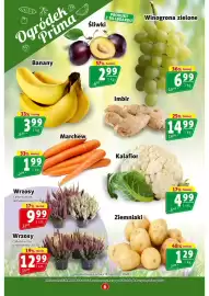 Prim Market gazetka tydzień 38 Strona 6: Kalafior €4,99, Winogrona zielone €6,99