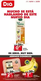 Folleto La Plaza de DIA semana 38 Página 1