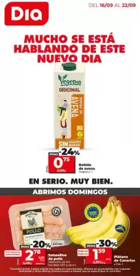 La Plaza de DIA (válido hasta el 22-09)