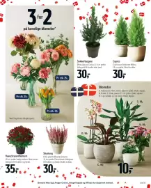 Føtex tilbudsavis uge 38 Side 91: Havechrysanthemum €35,00, Kunstige blomster