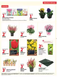 Catalogue Auchan page 3