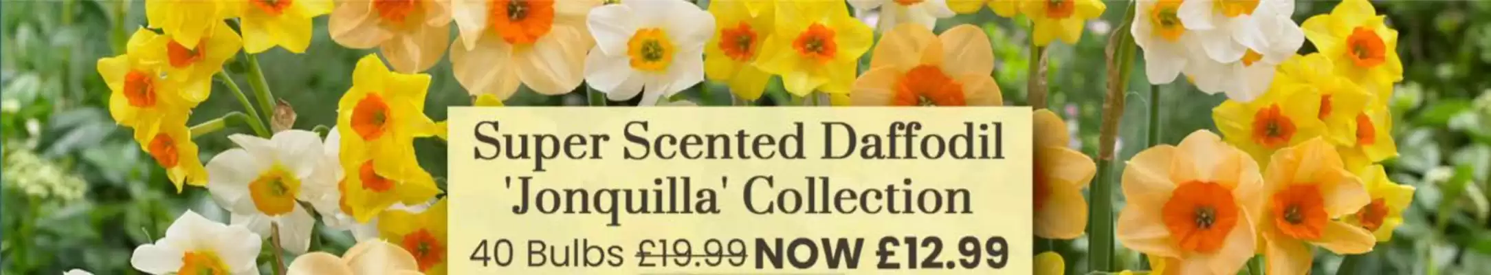 Dobbies (valid until 12-10)