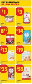 No Frills flyer week 38 Page 10: PC lightweight cat litter €19,00, PC lightweight cat litter €13,00