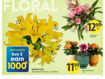 Save on Foods flyer week 38 Page 5