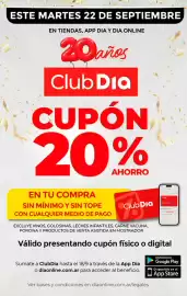Folleto Supermercados DIA semana 38 Página 10