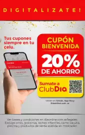 Folleto Supermercados DIA semana 38 Página 16