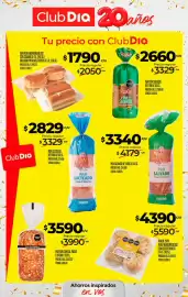 Folleto Supermercados DIA semana 38 Página 21
