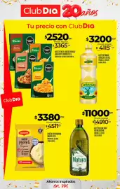 Folleto Supermercados DIA semana 38 Página 28