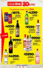 Folleto Supermercados DIA semana 38 Página 31
