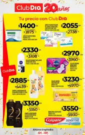 Folleto Supermercados DIA semana 38 Página 32