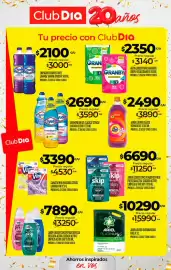 Folleto Supermercados DIA semana 38 Página 33