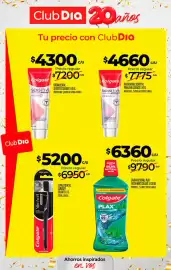 Folleto Supermercados DIA semana 38 Página 37