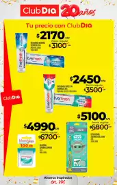 Folleto Supermercados DIA semana 38 Página 41