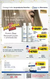 Folleto Supermercados DIA semana 38 Página 7
