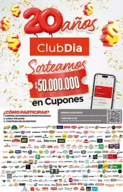Folleto Supermercados DIA semana 38 Página 9