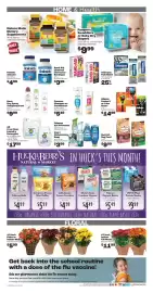 Rosauers weekly ad week 38 Page 4: 6.5-Inch Indoor Fall Mums €11,99, All Free Clear Laundry Detergent €17,99
