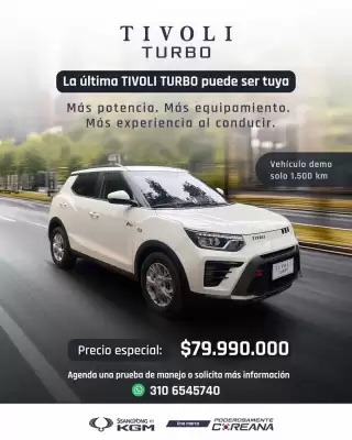 Ssangyong (válido hasta 2-10)