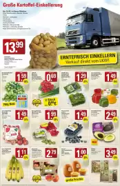WEZ Prospekt woche 39 Seite 2