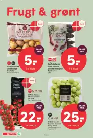 SPAR tilbudsavis uge 38 Side 6: Gestus Små Hurtige Kartofler €5,00, Omhu stenfri grønne autumn crisp druer €25,00