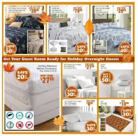 Beddington's flyer Page 3