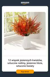 Amazon gazetka tydzień 38 Strona 6