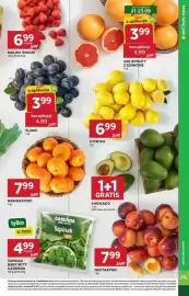 Stokrotka gazetka tydzień 38 Strona 11: Maliny Świeże €6,99, Szpinak Baby Myty Gardinia €4,99