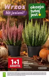 Stokrotka gazetka tydzień 38 Strona 37: KWIA DONICZKOWY WRZOS
