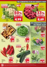 Kaufland gazetka tydzień 38 Strona 5