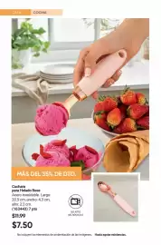 Catálogo AVON Página 26