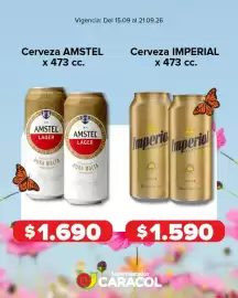 Catálogo Supermercados Caracol semana 38 Página 4