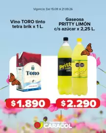 Catálogo Supermercados Caracol semana 38 Página 6