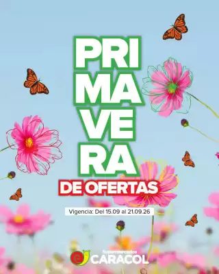 Caracol (válido hasta 21-09)