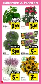 Vomar Voordeelmarkt folder Pagina 37
