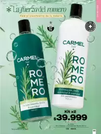 Catálogo Carmel Página 139